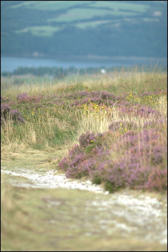 A087C837-5F97-43AF-8DF1-E33167067573